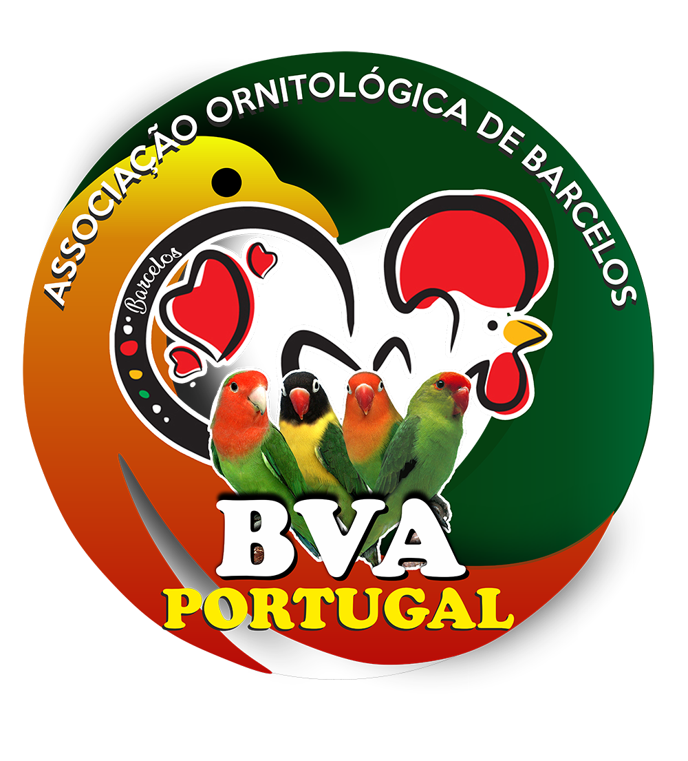 BVA - Portugal