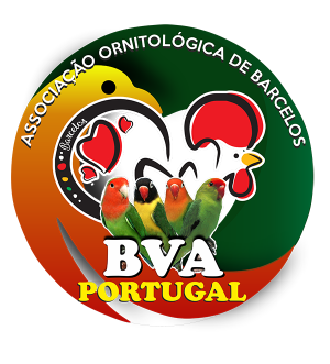 BVA Portugal